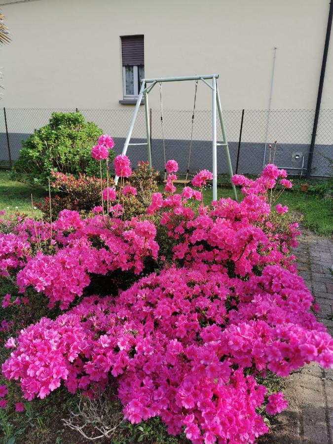 Grandma'S Garden House Vila Angera Exterior foto